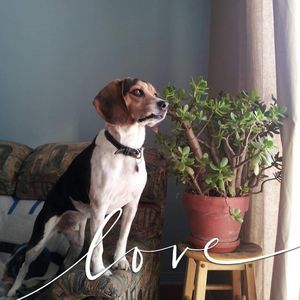 Meet your Posher, Carole